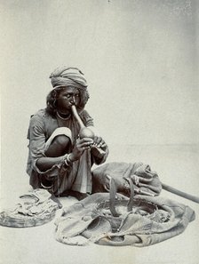 An Indian snake charmer squatting down playing his pipe, with two cobras in a basket in..., c1900. Creator: Unknown.
