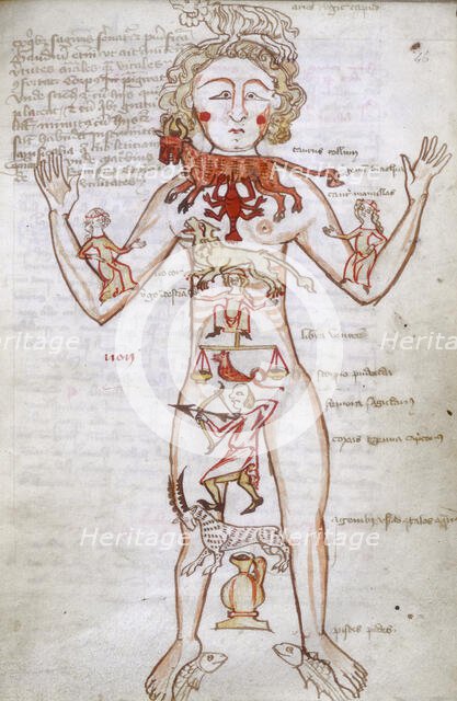 Zodiac man, 15th century. Creator: Unknown.