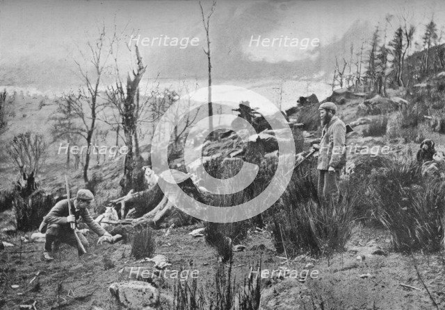 'Putting in the Ferret', c1900, (1903). Artist: Charles Reid.