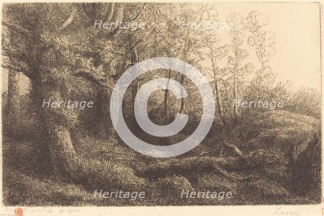 In the Forest (Lisiere de foret). Creator: Alphonse Legros.