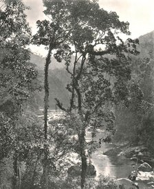 View of the Kelani River, Kurunegala, Ceylon, 1895. Creator: W & S Ltd.