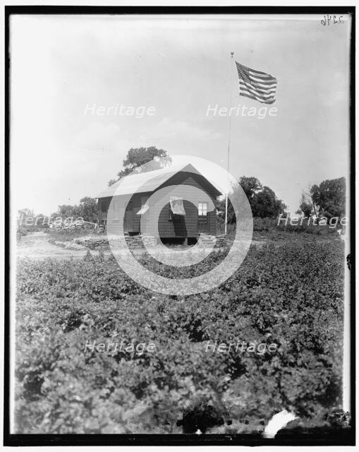 National Emergency, between 1910 and 1920. Creator: Harris & Ewing.