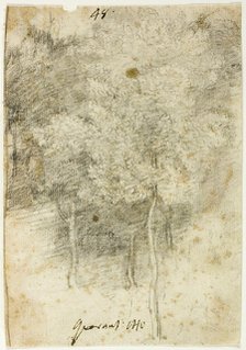 Grove of Trees, 1600/12. Creator: Federico Barocci.