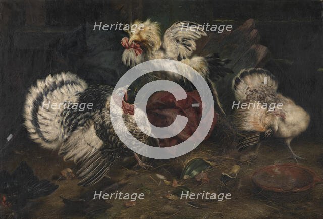 Fighting Cocks, 1902. Creator: Piet van Engelen.