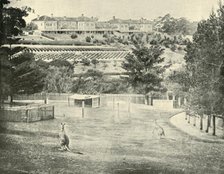 'Gladesville Asylum for the Insane, New South Wales', 1901. Creator: Unknown.