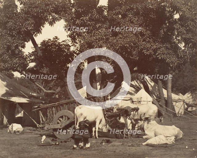 Scene in Camp] 1858-61. Creator: Unknown.