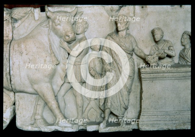 Scene of the sacrifice of a bull to the god Mars, relief on the altar of Domitius Aenobarbus.