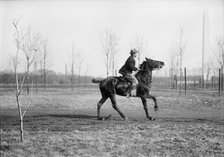 Wrisley Brown, Attorney - Riding, 1914. Creator: Harris & Ewing.