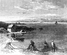 Salmon-fishing on the River Tay: drawing in, 1862. Creator: Unknown.