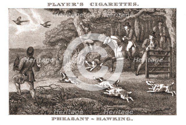 'Pheasant-Hawking', (1924). Creator: Unknown.