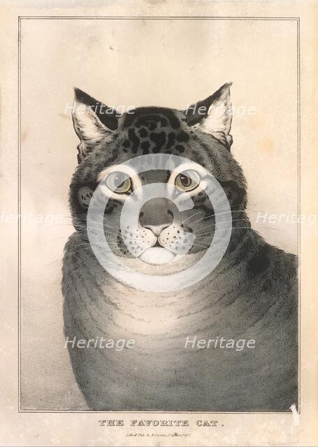 The Favorite Cat, 1838-46., 1838-46. Creator: Nathaniel Currier.