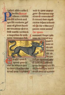 A Hyena; De Natura Avium; De Pastoribus et Ovibus; Bestiarium, 1277 or after. Creator: Unknown.