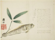 Fish and Bamboo, Japan, 1860s. Creator: Maezawa Otei.