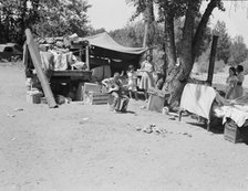 Camp of migratory families in "Ramblers Park", Yakima Valley, Washington, 1939. Creator: Dorothea Lange.