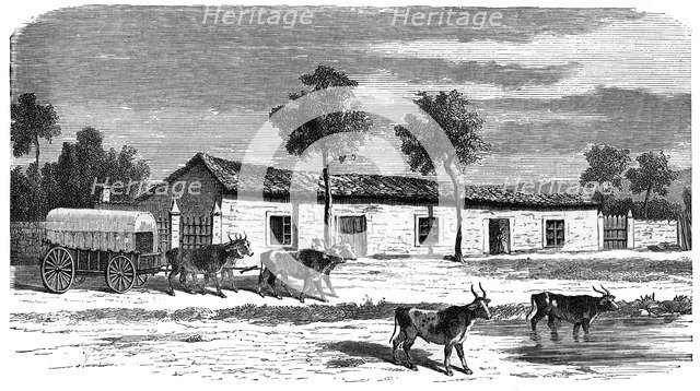 A Boer farm, South Africa, c1890. Artist: Unknown