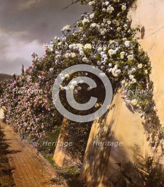 "El Fureidis," James Waldron Gillespie house, Parra Grande Lane, Montecito, California, 1917. Creator: Frances Benjamin Johnston.