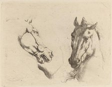 Head of a Horse Seen in Profile and in Three-Quarters. Creator: Stefano della Bella.