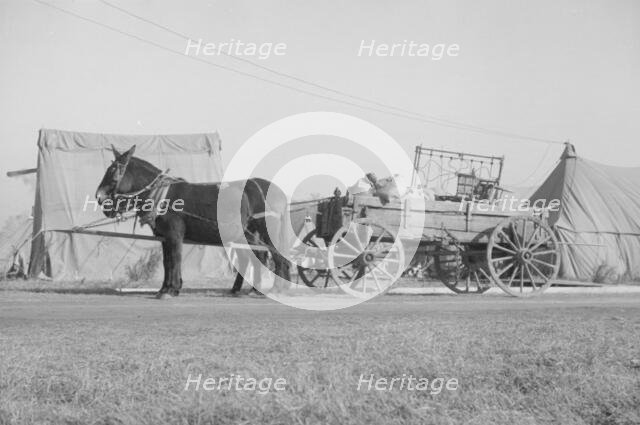 Possibly: Refugees lined up at meal time in the camp for white..., Forest City, Arkansas, 1937. Creator: Walker Evans.