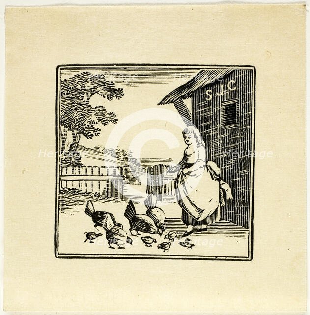 Book Illustration, n.d. Creator: Thomas Bewick.