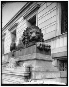 Lions at Corcoran Art Gallery, between 1910 and 1920. Creator: Harris & Ewing.