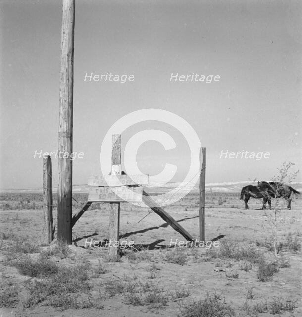 Farm for sale, Willow Creek area, Malheur County, Oregon, 1939. Creator: Dorothea Lange.