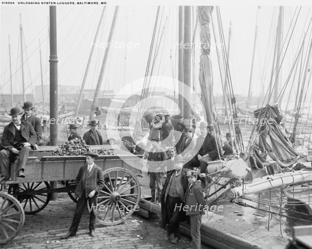 Unloading oyster luggers, Baltimore, Md., (1905?). Creator: Unknown.