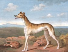 Greyhound: Facing Left, with a Dead Hare at His Feet, ca. 1805. Creator: Unknown.