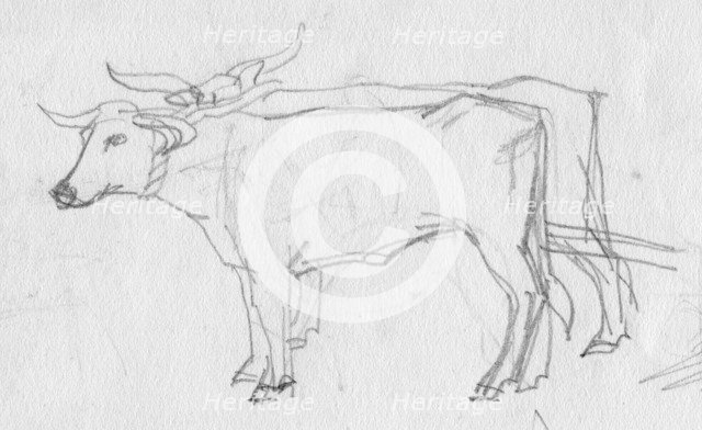 Oxen and cart, 12th century, (c1950).  Creator: Shirley Markham.