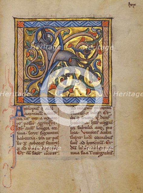 An Antelope with its Horns Entangled in a Bush; Bestiary, about 1270. Creator: Unknown.