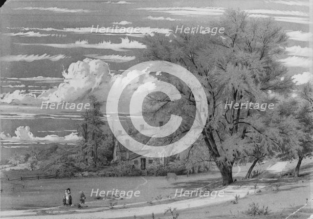 Willow Tree, Harlem Creek, New York, 1853. Creator: William Rickarby Miller.