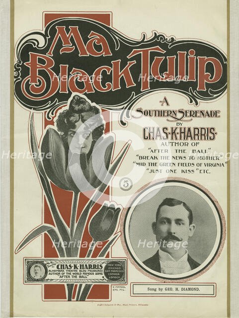 'Ma black tulip', 1900. Creator: Unknown.