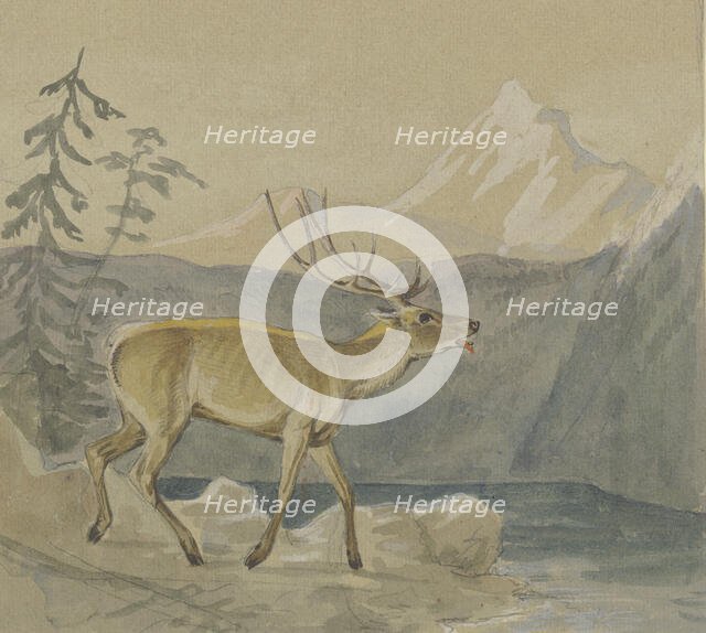 A wounded stag seeks refreshment at a mountain lake, mid-late 19th century. Creator: Johann Erdmann Gottlieb Prestel.