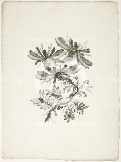 Bouquet, from Collection of New Flowers of Taste for the Manufacture of Persian Cloth..., 1765/70. Creator: Johann Heinrich Hess.