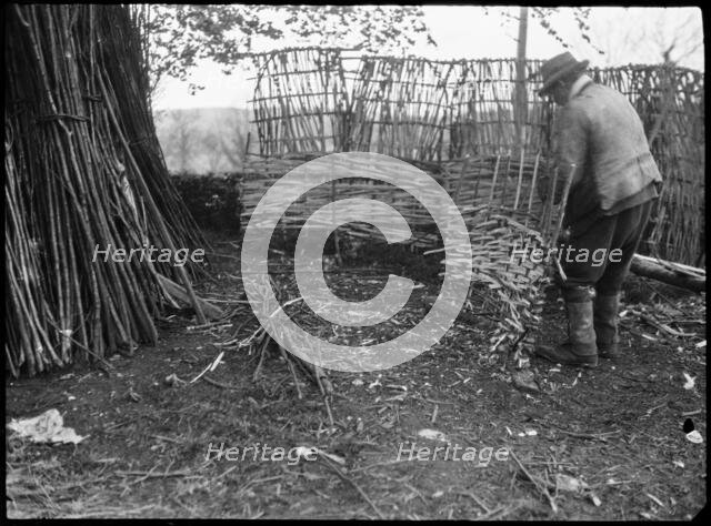 A hurdle maker at work near the town of Alton, East Hampshire, Hampshire, 1920-1960. Creator: George R Long.