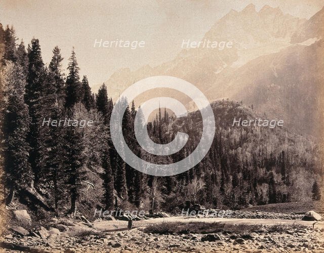 Kashmir: a mountain valley and forest, between 1800 and 1899. Creator: Samuel Bourne.