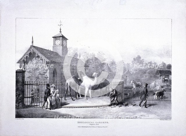 Zoological Gardens, Regent's Park, Marylebone, London, 1835. Artist: George Scharf