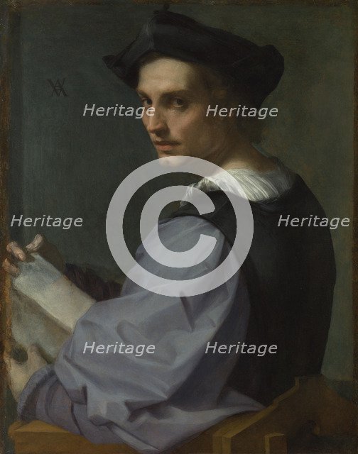 Portrait of a Young Man, ca 1518. Artist: Andrea del Sarto (1486-1531)