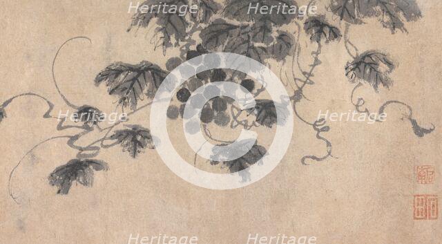 Branch of Fruit Bearing Tree, unknown date, c1450-1509. Creator: Shen Zhou.