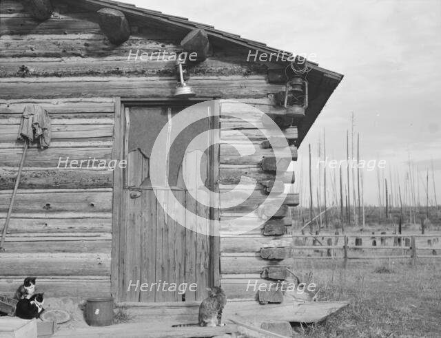 Log home - farm established six years ago, Priest River Peninsula, Bonner County, Idaho, 1939. Creator: Dorothea Lange.