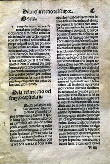 Page from the book 'Lo Quart del Cartoixà' (The Fourth of the Cartoixa), printed in Valencia in 1…