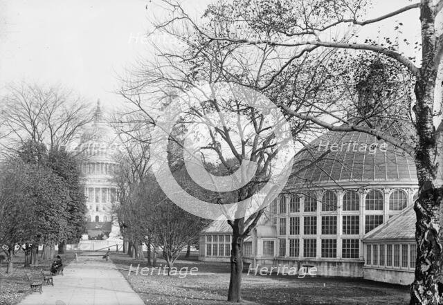 Botanical Gardens At The Capitol, 1917. Creator: Harris & Ewing.