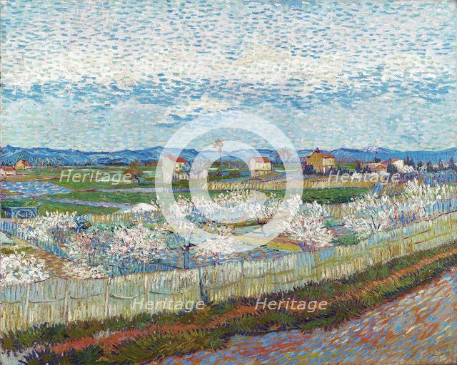 Peach Trees in Blossom, 1889. Creator: Gogh, Vincent, van (1853-1890).