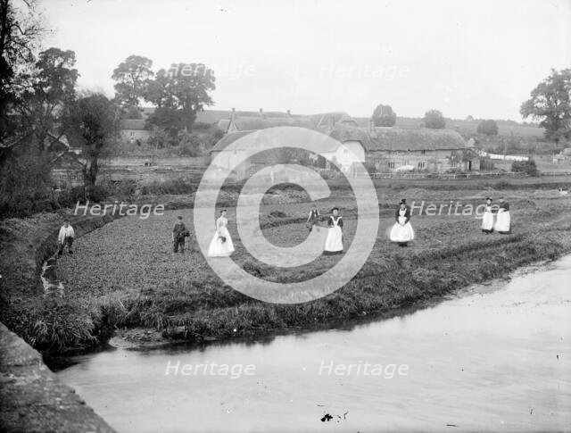 Local people gathering watercress in a field by the River Kennet, Ramsbury, Wiltshire, 1860-1914. Creator: Frederick Ault.