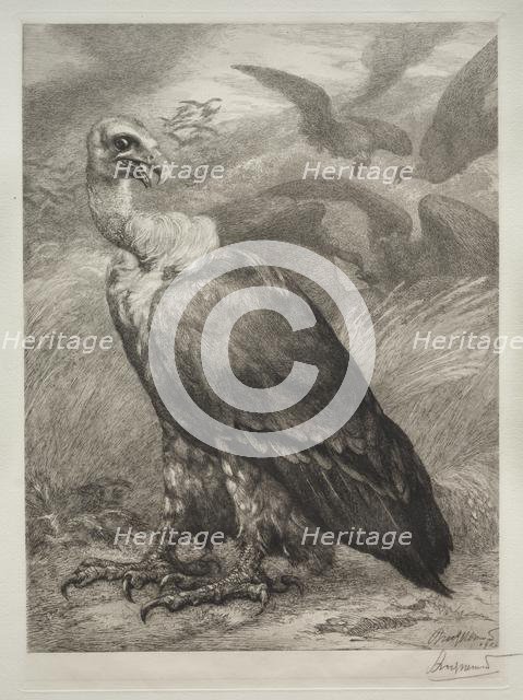 The Vulture, 1904. Creator: Félix Bracquemond (French, 1833-1914); Emil Dolot (Société des amis de l'estampes français).