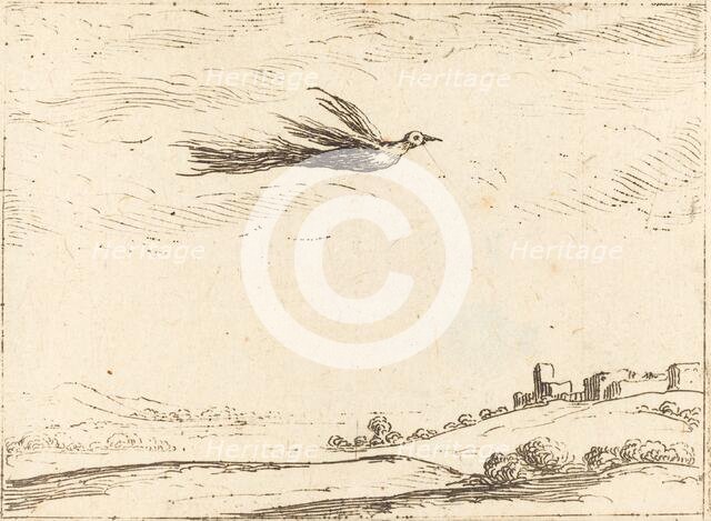 Bird of Paradise. Creator: Jacques Callot.