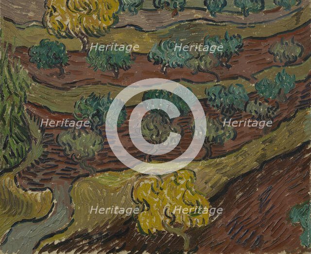 Olive Trees on a Hillside , 1889. Creator: Gogh, Vincent, van (1853-1890).