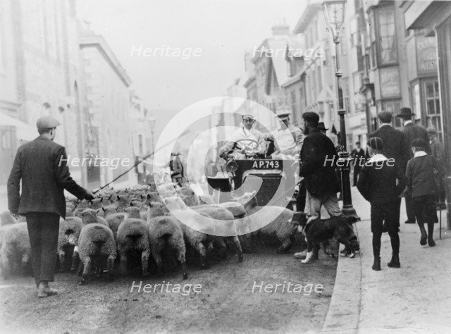 A car surrounded by sheep, Lewes High Street, East Sussex. Artist: Unknown