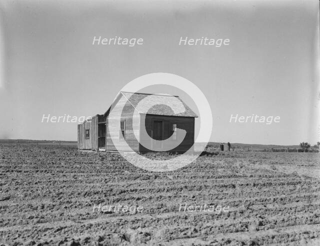 Cultivated fields and abandoned tenant house, Hall County, Texas, 1937. Creator: Dorothea Lange.