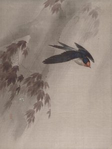 A Swallow in the Rain, ca. 1891-92. Creator: Okada Baison.