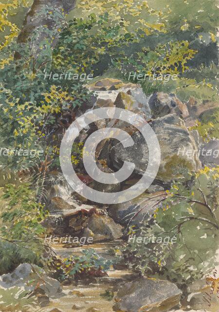 Forest Brook, 1861. Creator: Friedrich Carl von Scheidlin.